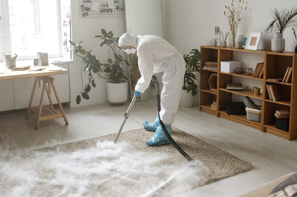 Clendo technician steam cleaning carpet in a Canberra living room
