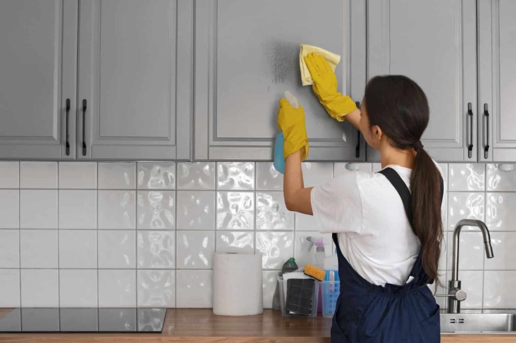 clean modern kitchen after a house clean in Gungahlin